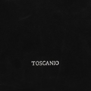 TOSCANIO TOREBKA SKÓRZANA TOS F208 CZARNY