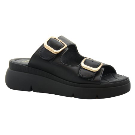 SCHOLL KLAPKI DAMSKIE BALI BUCKLE/1